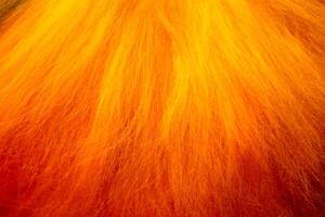 Vibrant gradient wool texture in striking. Felting process. Laying out the wool fibers. Perfect for backgrounds, artistic compositions. Copy space photo