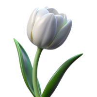 Blooming white tulip flower 3d illustration isolated on the transparent background png