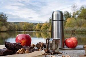 Peaceful outdoor picnic by the lake with a thermos, fresh apples, snacks and brownies. Relaxed autumn day in nature. Serenity concept. Active lifestyle. Main river. Eibelstadt, Bavaria, Germany. photo