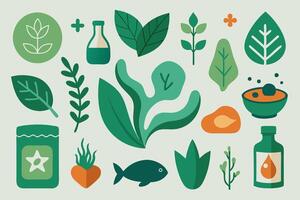 A flat design of various herbs and spices vector