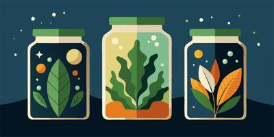 Three jars with plants and plants inside vector