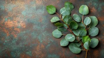 Lush green leaves frame a textured brown surface in a natural minimalist setting photo