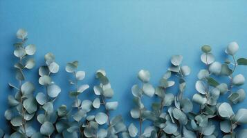 Elegant eucalyptus branches create a serene frame against a soft blue background photo
