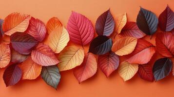 Vibrant orange oak leaves against a rich red backdrop capturing autumn's beauty in nature photo