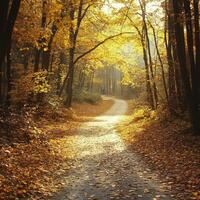 Autumn path winding through a vibrant forest with golden leaves and soft morning light photo