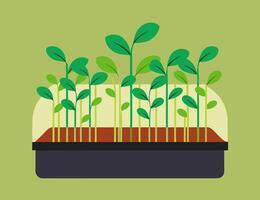A plant growing in a container with soil vector
