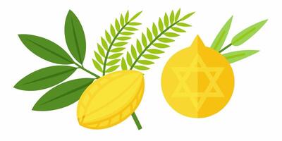 Lemon and olive branch with star of david vector