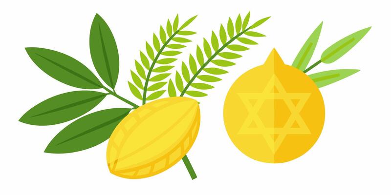 Lemon and olive branch with star of david