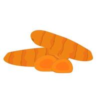 Tumeric cucurmin herb vector