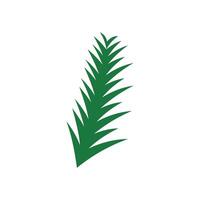 Pine leaf icon isolated on white background for your web and mobile app design. green leaf and plant illustration element design vector