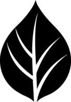 Leaf icon on white background vector