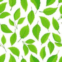 Seamless pattern of foliage branches on white. Endless background with various shapes of green leaves. Backdrop for nature-themed design, packaging, and botanical illustrations, fabric swatch vector