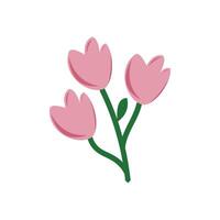 pink tulips flowers icon over white background. colorful design. cute flower with branches and leaves. The flower design symbolizes a beautiful, healthy and enjoyable life vector