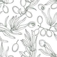 Beautiful natural seamless pattern with olive tree branches with leaves and ripe fruits or drupes hand drawn with contour lines on white background. Monochrome illustration for fabric print. vector