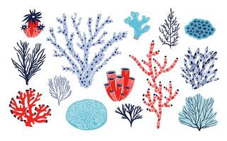Set of different corals and seaweed or algae isolated on white background. Bundle of marine species, deep sea creatures, ocean flora and fauna. Underwater biodiversity. Colorful illustration vector