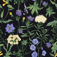 Floral seamless pattern with blooming wild flowers and meadow flowering plants on black background. Romantic floral backdrop. Colorful illustration for fabric print, wrapping paper. vector