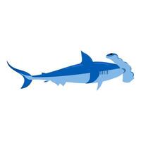 Shark illustration isolated on white background vector