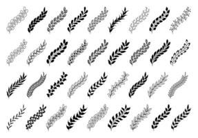 Set of spikelet and flower branches with leaves on background. Rustic olive. Leaves and berries. Frame and border decorative elements for design. Botanical decor. linear icons set vector