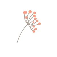 Guelder rose, autumn berries isolated on white background. Sprigs of rose hips, viburnum, cranberries. hand-drawn illustration in line art vector