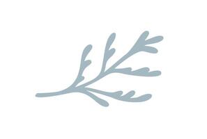 Simple hand drawn green branch cypress with round smooth leaves. Floral design winter element isolated on white background. illustration vector