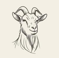 Charming Hand Drawn Goat Face Sketch An Artistic Delight vector