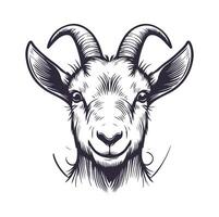 Unique Hand Drawn Goat Face Art An Expression of Nature vector