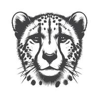 Elegant Cheetah Head Drawing Swift and Graceful Wild Cat Sketch Art vector