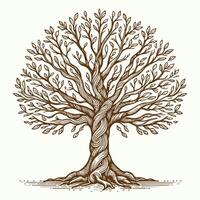 Detailed Hand drawn Tree Design vector