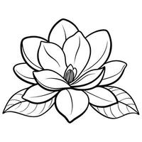 Intricate Magnolia Flower Coloring Page with Botanical Details vector