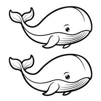 Discover the Elusive Differences in the Majestic Sperm Whale vector