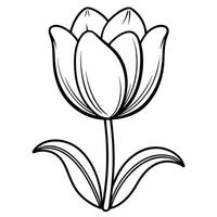 Intricate Tulip Flower Coloring Page for Artistic Expression vector