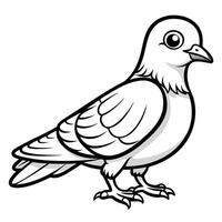 Vibrant Pigeon Illustration Suitable for Coloring and Artwork vector