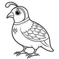Printable Quail Coloring Page for Kids to Learn and Color vector