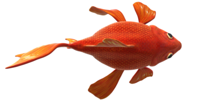 High Quality 3D Goldfish isolated on a Transparent Background png