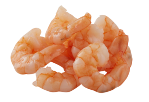 fresh shrimp cut out isolated transparent background png