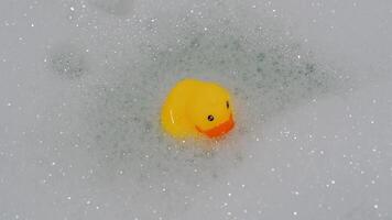 borracha amarelo Pato brinquedo flutua dentro água dentro banho com espuma video