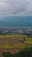 top view of rice fields with villages against background of mountains in Vietnam in Asia in the evening video