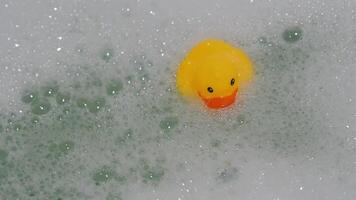 rubber yellow duck toy floats in water in bath with foam video