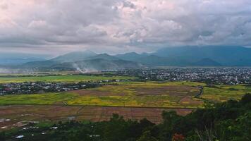 top view of rice fields with villages against background of mountains in Vietnam in Asia in the evening video