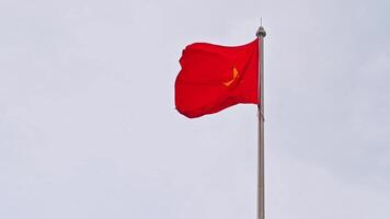 The Vietnamese flag on the flagpole flutters in wind against a sky video