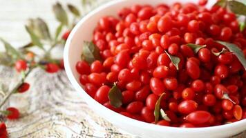 fresh ripe red goji berries in a bowl on a wooden table video
