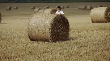 Child Boy In The Field video