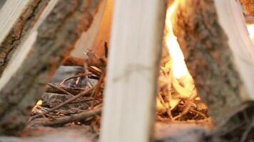 Making Fire In The Forest video