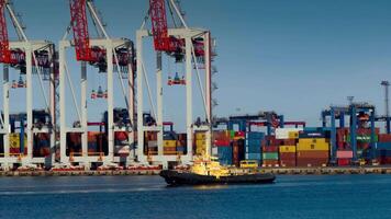 Container terminal in the harbor, busy logistics background video