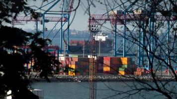 Container terminal in the harbor, busy logistics background video
