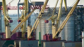 Cranes standing in yard at container terminal video