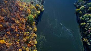 Aerial top down view of forest in the autumn video