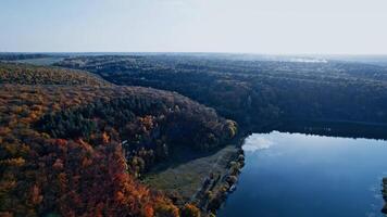 Drone flying over the autumn forest video