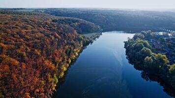 Forest with red and yellow trees aerial top view video