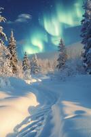 A winter path through snow covered trees under a vivid aurora borealis at night photo